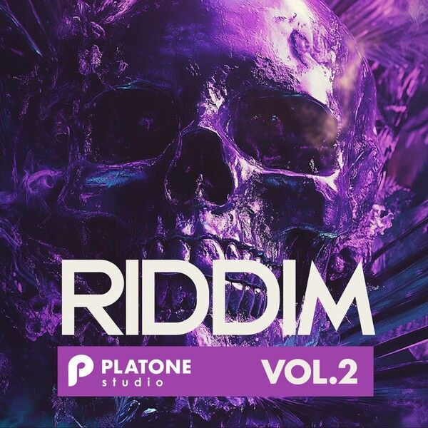 Platone Studio | Riddim vol.2 | Sample packs